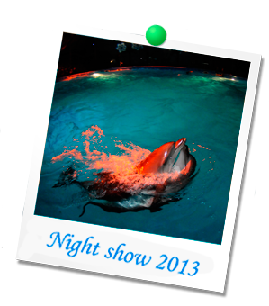 Ночное шоу 2013